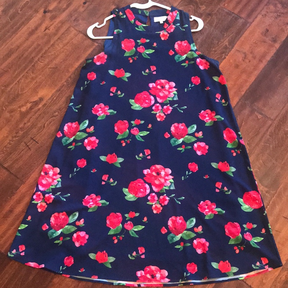 Sawyer Swing Dress by Mudpie
